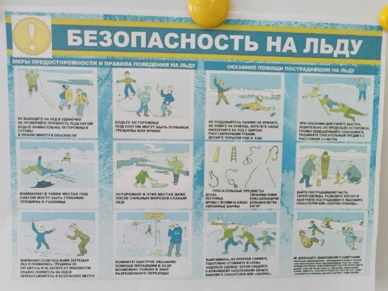 photo 5811038606750059530 x